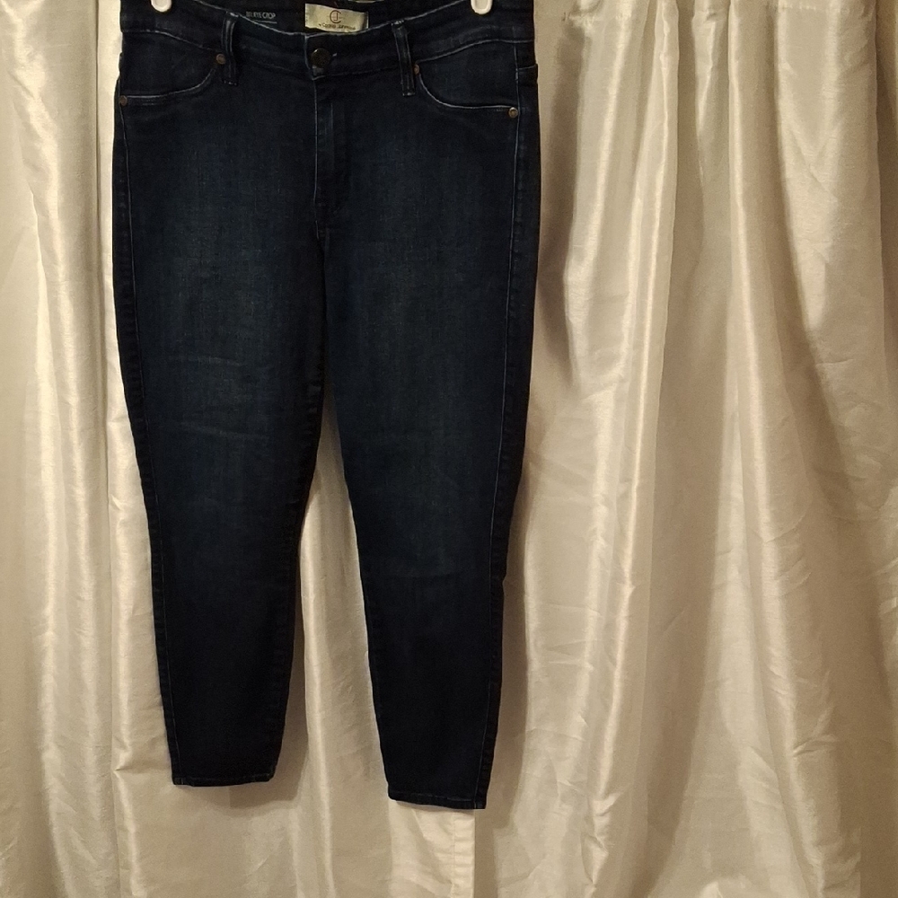 Cookie Johnson Classic Indigo Women's Skinny Jeans 28